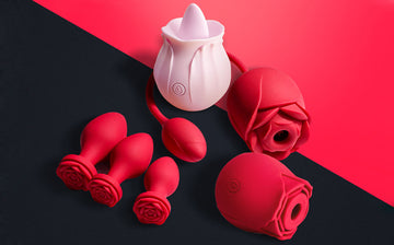 Lost My Rose Toy Charger, What Can I Do? – Rose Toy Official Store