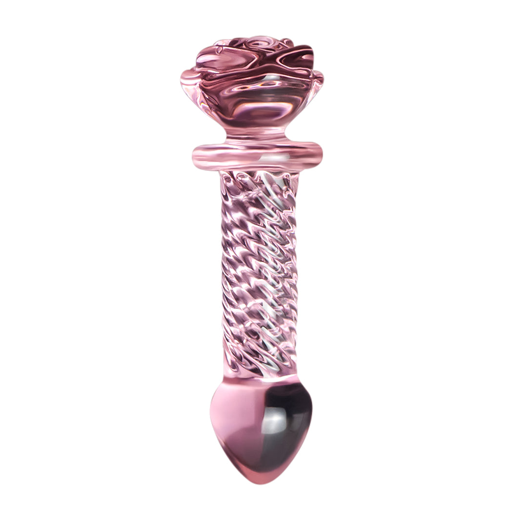 Anal Toys