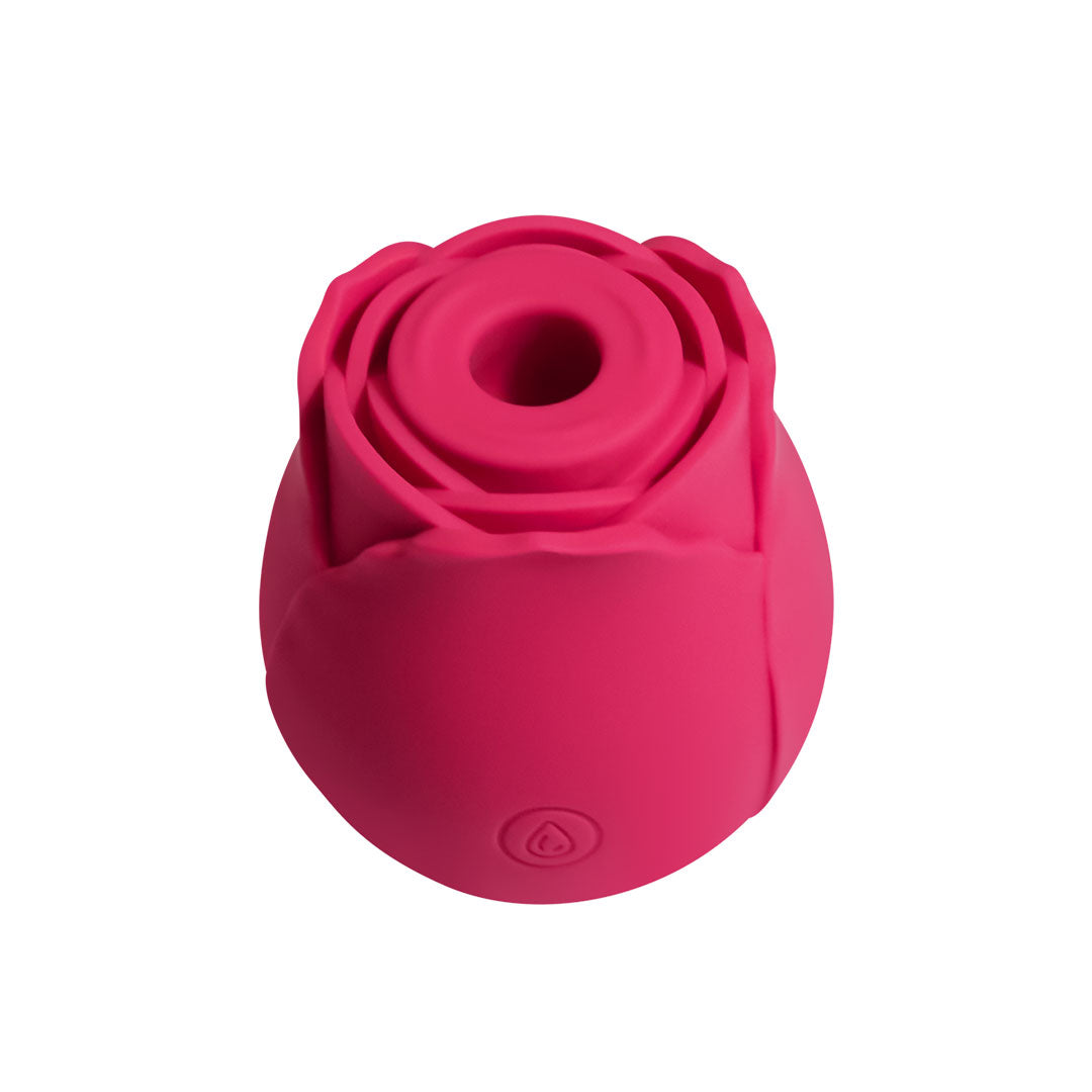 Red Rose Toy Rose Toy Official Store Red Rose Toy Rose Toy Official Store
