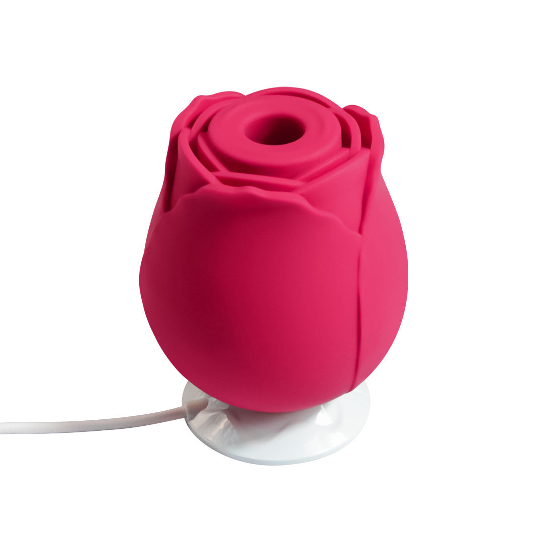 red rose toy charger