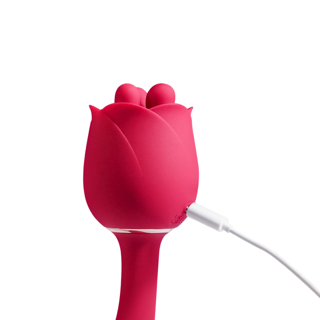 Rose Toy Massager Vibrator for Women