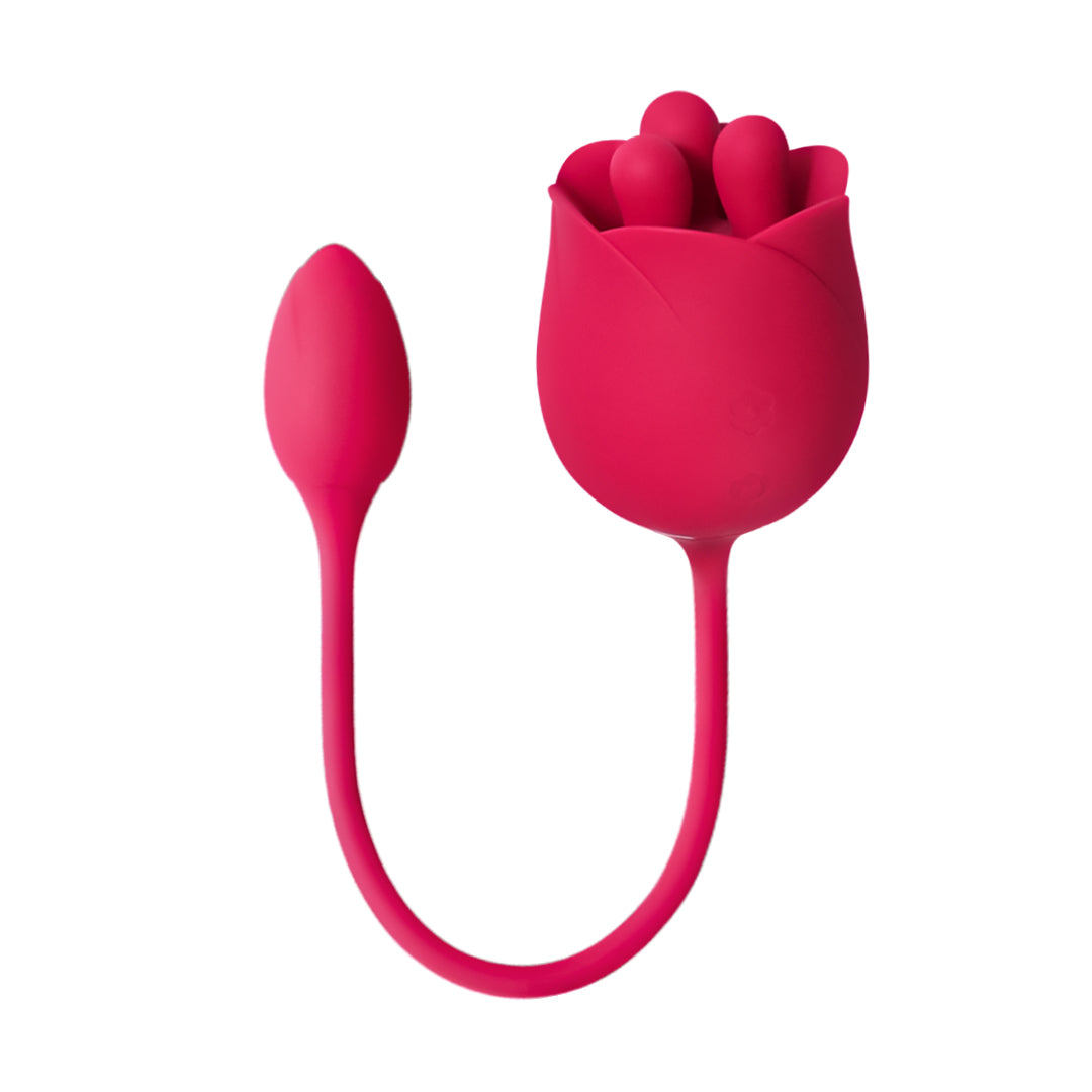 Rose Toy for Women Massager Vibrator with Vibrating Egg