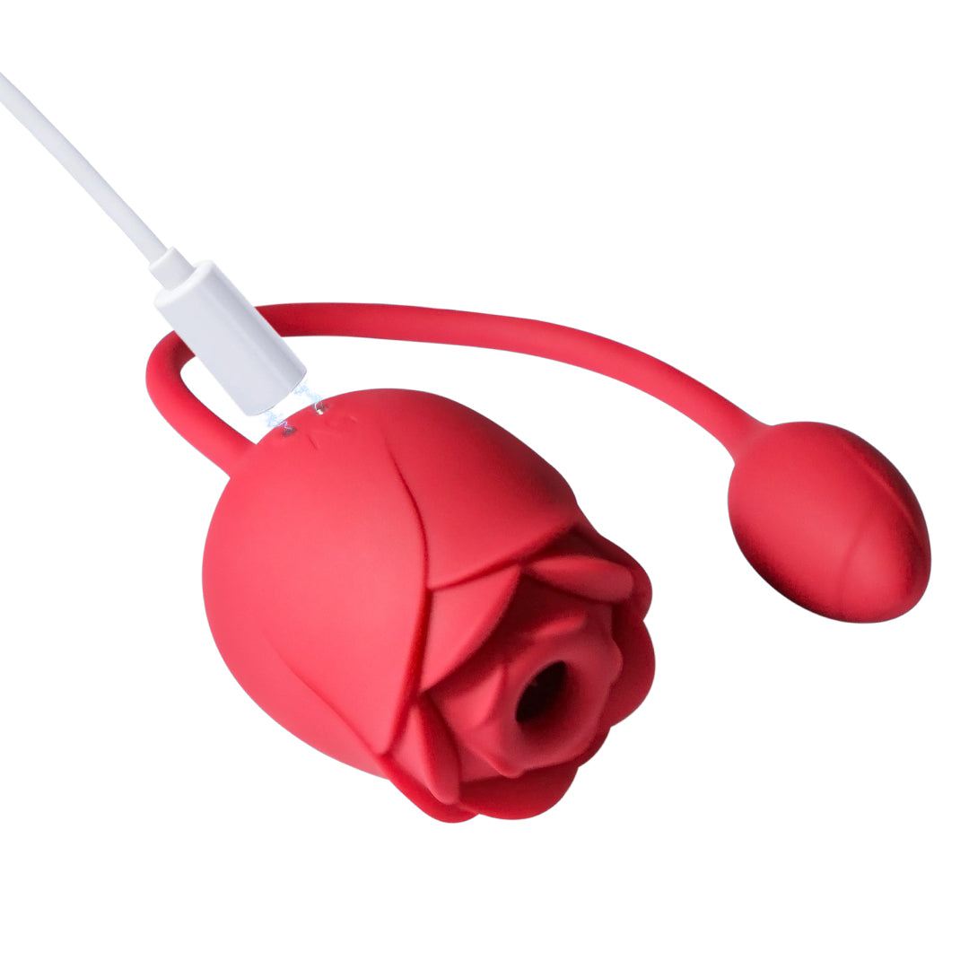 rose toy with bullet vibrator 