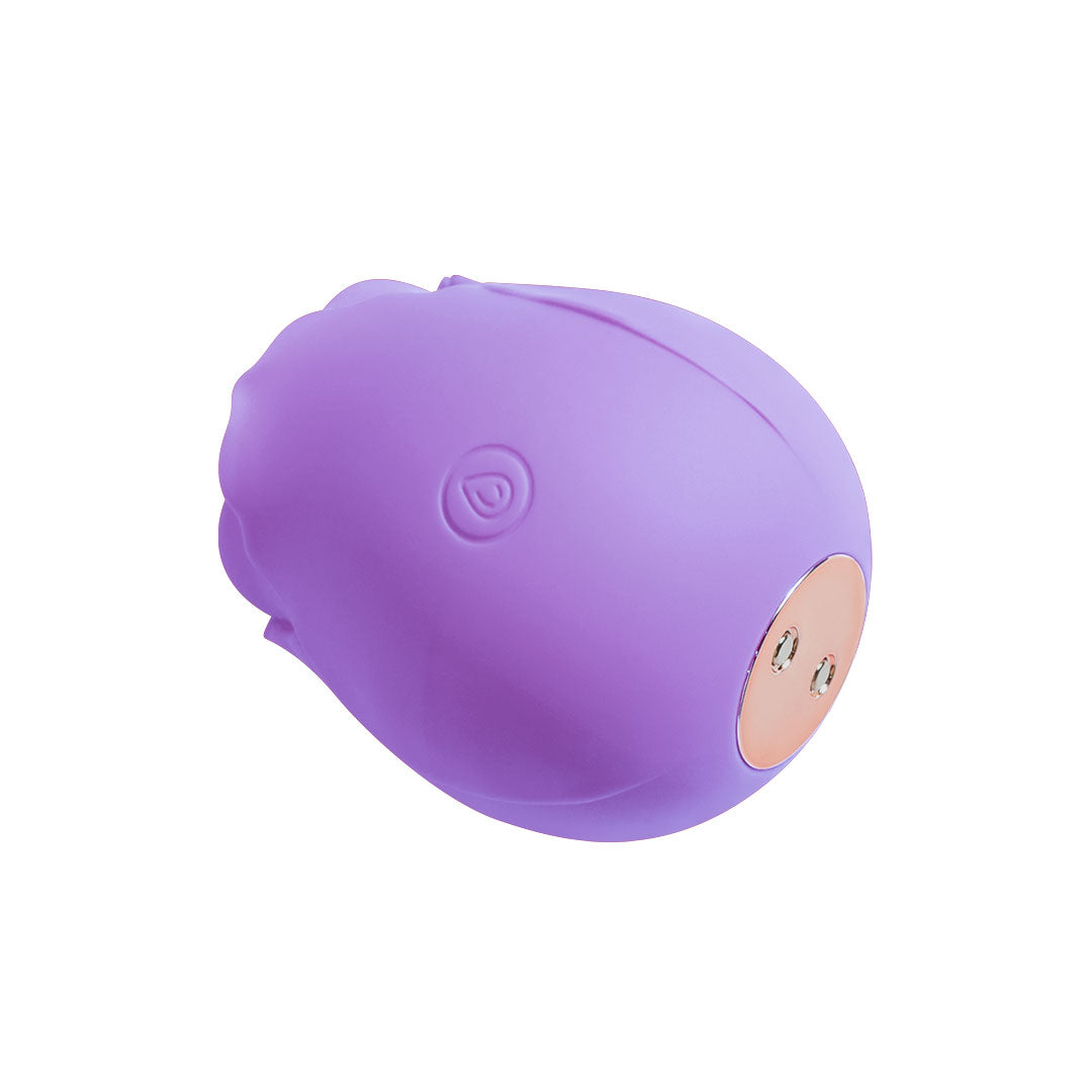 Purple Rose Toy Rose Toy Official Store Purple Rose Toy Rose Toy Official Store