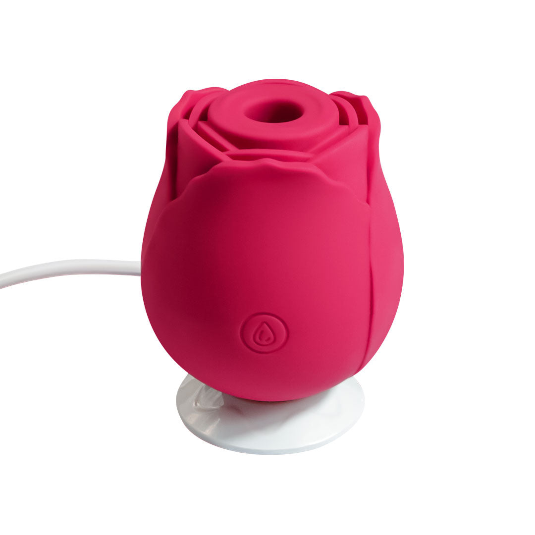 rose toy charger