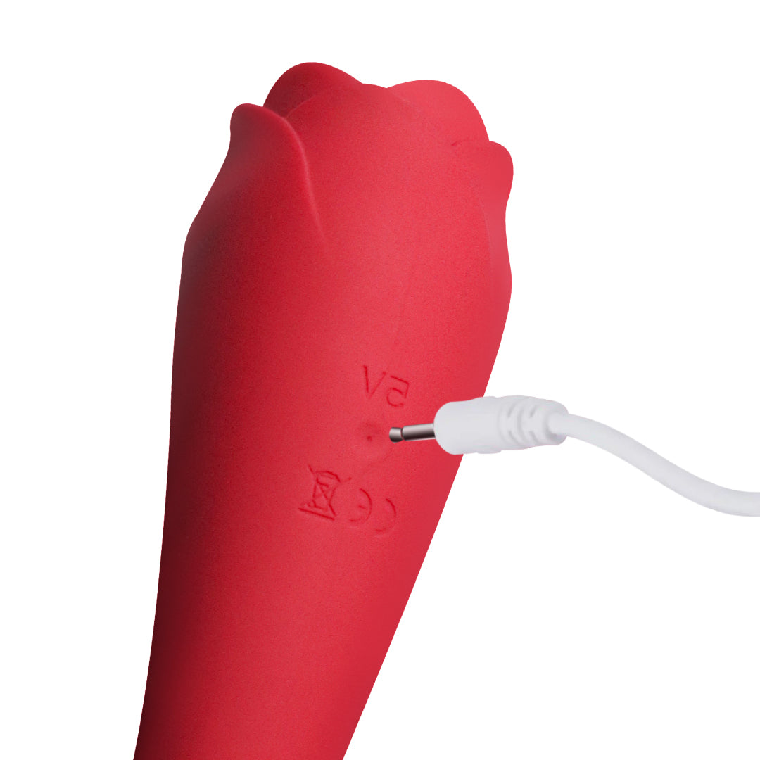 Needle charging cable Rose Toy Official Store Needle charging cable Rose Toy Official Store